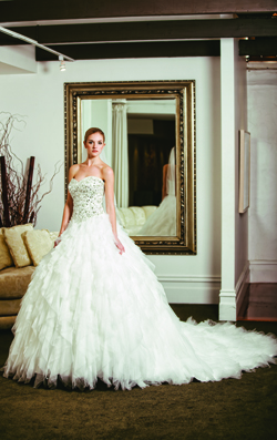 MADDISON - Click for details
